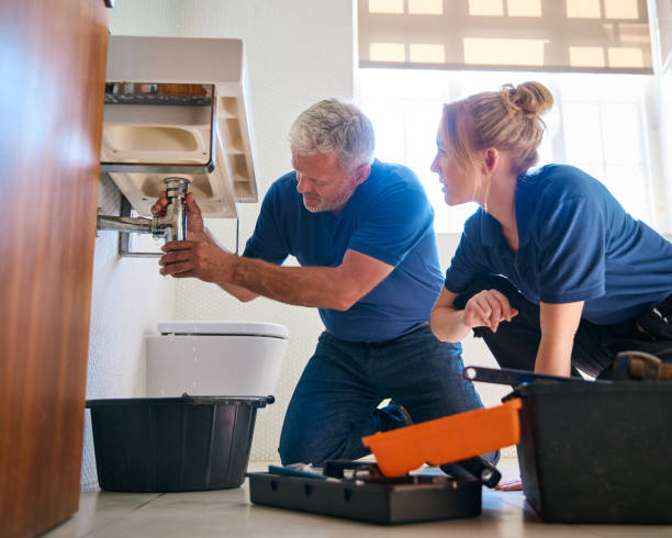 Best Plumbing Services Near Me  in Lam, AR